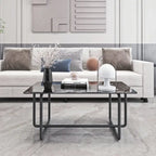 Modern Tempered Glass and Black Metal Coffee Table - 23.62 x 39.37 x 17.71